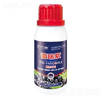 �ĺڌ���-������-����