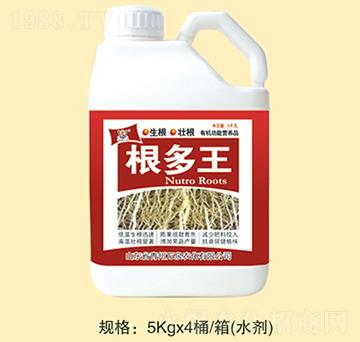 ������-�fȪ�r(n��ng)��