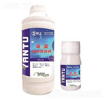 �����}�V���F�\-��������