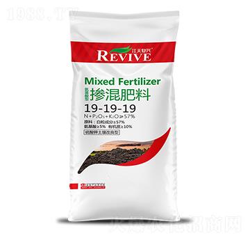 �������19-19-19-������