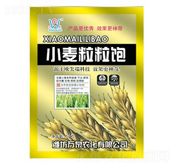 С�������-�fȪ�r��