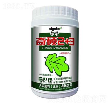 �_ʩ��Ȍ���-��T2+3-���A����