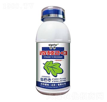 �~�懊ʩ����-��T2+3-���A����