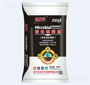 ΢�������΢�������-�|���S