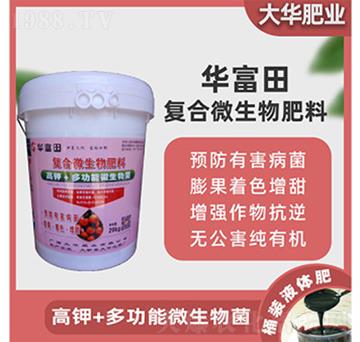 �ͺ�΢�������-���A����