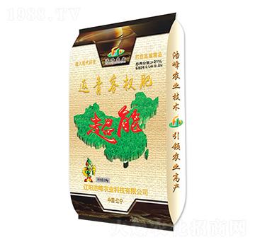 �����辷�-����-�Ʒ��r�I(y��)