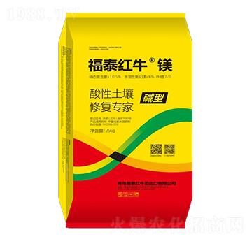 ���������ޏ�(f��)����-��̩�t�����V