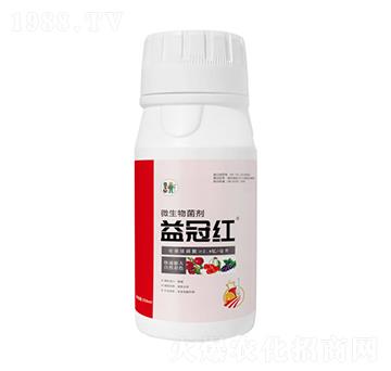 ��ڼt-���A����