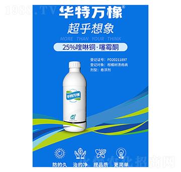 25%����~����ùͪ-�A���f��-�����A��