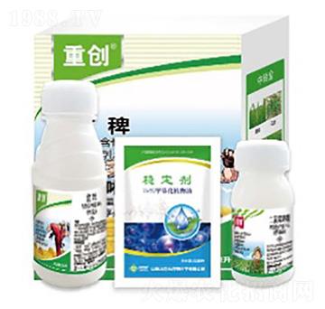 �؄�(chu��ng)-���՘�