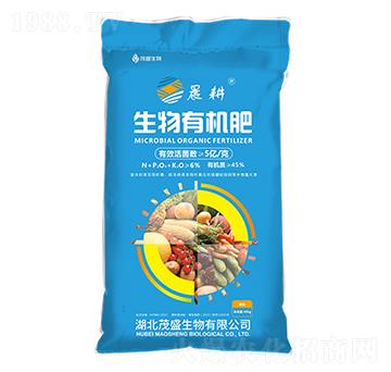 �����ЙC��-����-ïʢ