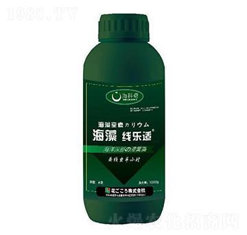 ���往���m-������