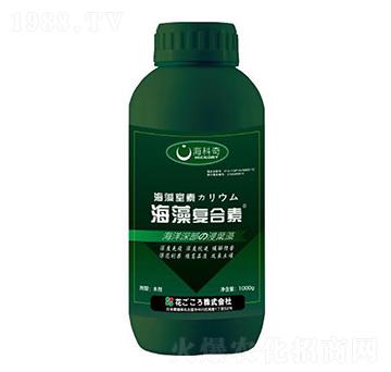 �����(f��)����-������