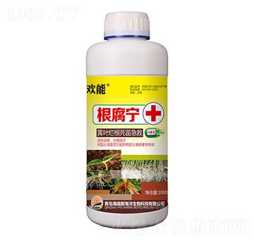 1000g�g�ܡ�������+�S�~�������缱��-����˹