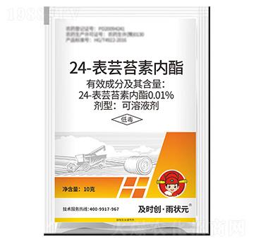 24-表蕓苔素內(nèi)酯可溶液劑-及時(shí)創(chuàng)·雨?duì)钤?及時(shí)雨