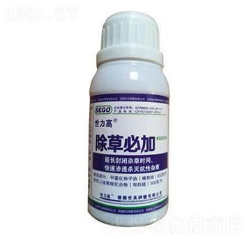 ���ݱؼ�-����������