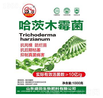 ����ľù��-ʢ������