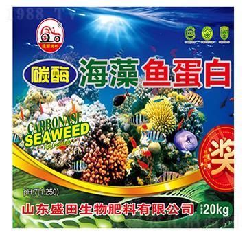 ̼ø�����~����-ʢ������