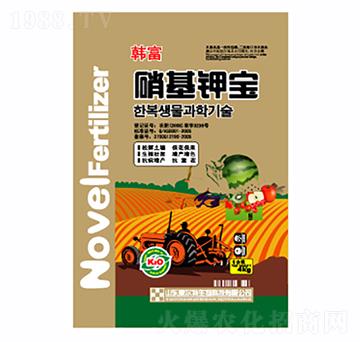 ����⛌�-������