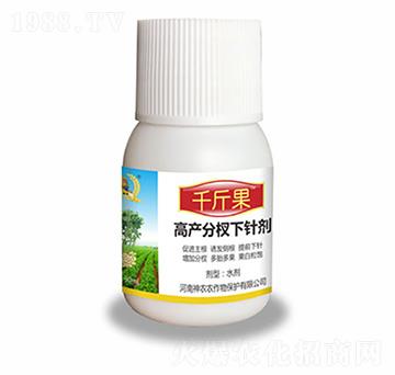 ������辄�-ǧ���-�������r