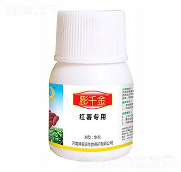 ��ǧ�𣨼t�팣�ã�-�������r