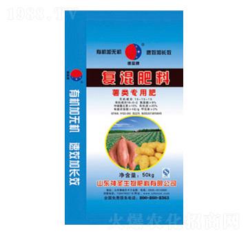 ���(l��i)��(zhu��n)�Ï�(f��)�����-��ʥ����