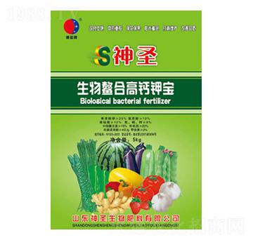 �������ϸ��}⛌�-��ʥ����