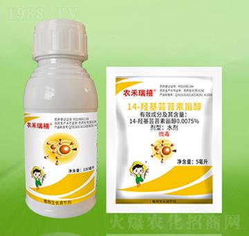 14-�u���|̦���޴�-�r������-�º��S