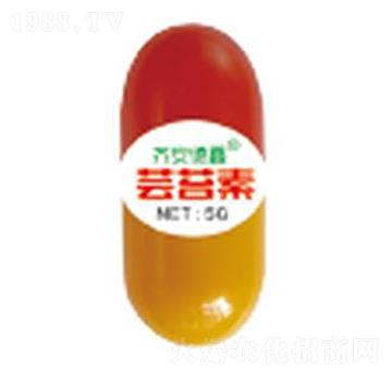 �|̦��-��������