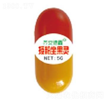 5g�ڷ������`-��������