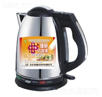 ��(x��)��������-��������