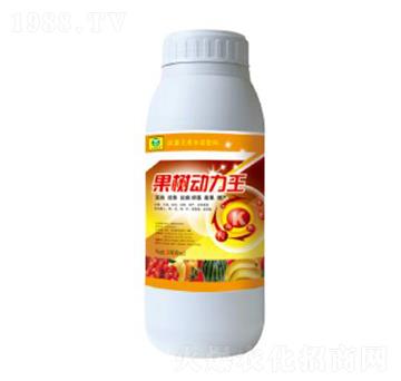 ���������-��������