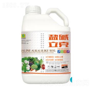 �}�A����-��������