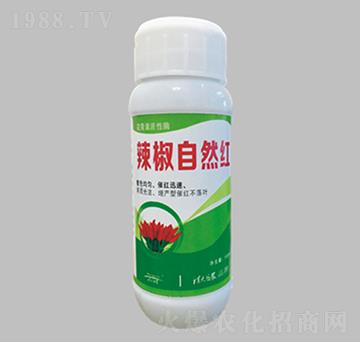 ������Ȼ�t-������r(n��ng)