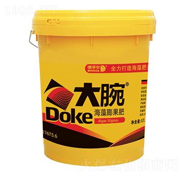 ���������-����-���ڠ�