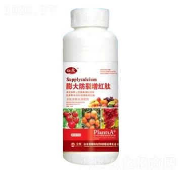 500g���������t��-�sҫ�r(n��ng)�I(y��)