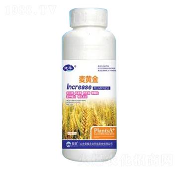 500g���S��-�sҫ�r(n��ng)�I(y��)