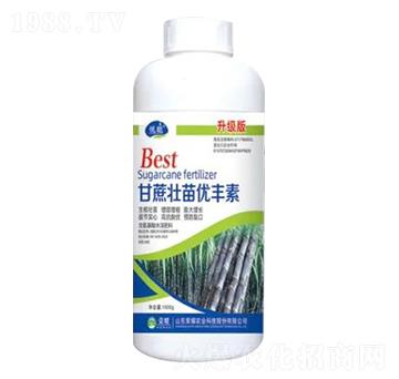 1000g������烞(y��u)�S������(j��)��-�sҫ�r(n��ng)�I(y��)