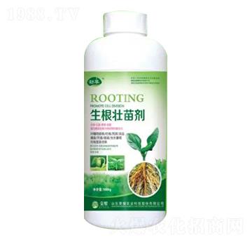 1000g�������焩-�sҫ�r(n��ng)�I(y��)