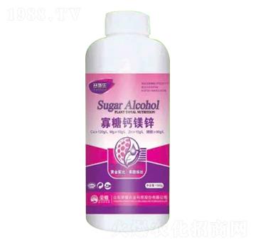 1300g�����}�V�\-ِʩ��-�sҫ�r�I(y��)