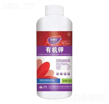 1300g�ЙC�-ِʩ��-�sҫ�r�I(y��)