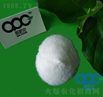 6-�S��������-���ɿ�