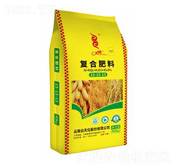 �ͺϷ���15-15-15-���v����