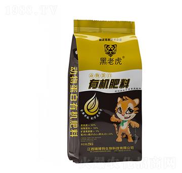 ���ﵰ���ЙC����-���ϻ�-�|���r(n��ng)�ʘI(y��)