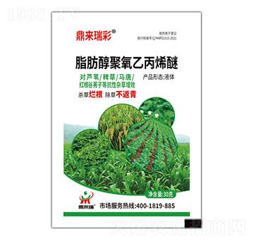 ֬���������ұ�ϩ��-����(l��i)���-����(l��i)��