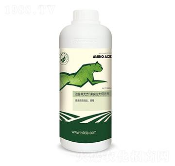 ���������M(j��n)��-���}������-�G���_(d��)