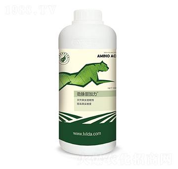 ��Ȼ�������Ǆ�-���}�����-�G���_(d��)