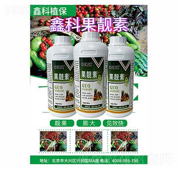 ���n��-�ο�ֲ��