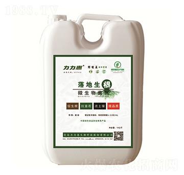 ΢�������-�������-���������B(t��i)