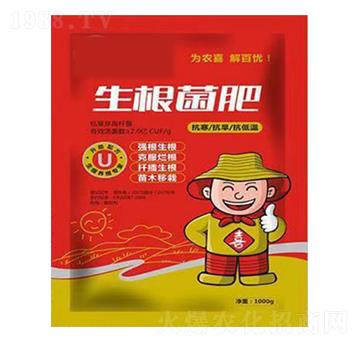 ��һ����������-���_(d��)����